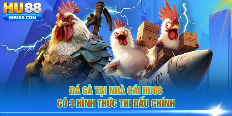 Đá gà tại nhà cái HU88 có 3 hình thức thi đấu chính