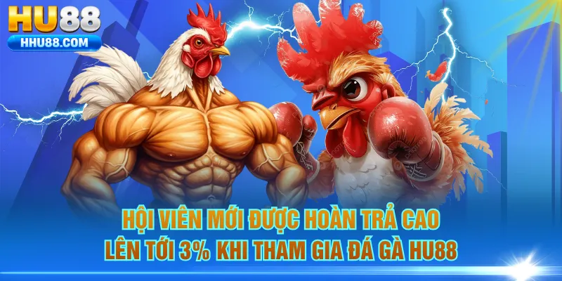 Hội viên mới được hoàn trả cao lên tới 3% khi tham gia đá gà HU88