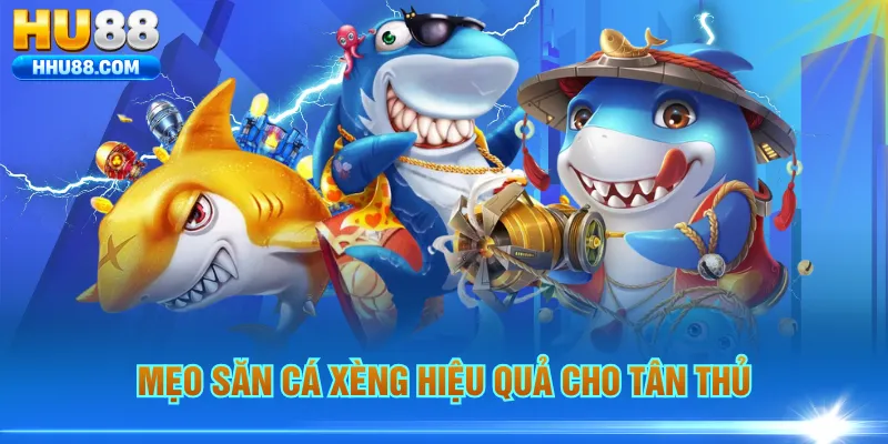 Mẹo săn cá Xèng hiệu quả cho tân thủ