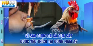 Đá gà cựa sắt
