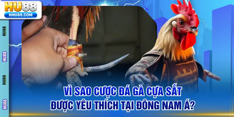 Đá gà cựa sắt